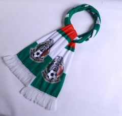 2018 World Cup Mexico Soccer Scarf Green