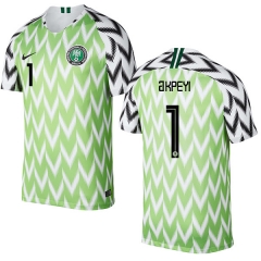 Nigeria Fifa World Cup 2018 Home Daniel Akpeyi 1 Soccer Jersey Shirt