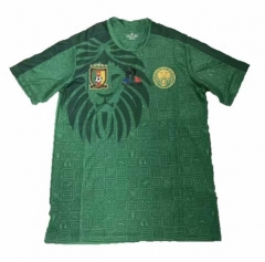 Cameroon 2019 Africa Cup Home Soccer Jersey Shirt