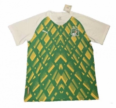 Ivory Coast 2019 Africa Cup Green Jersey Shirt
